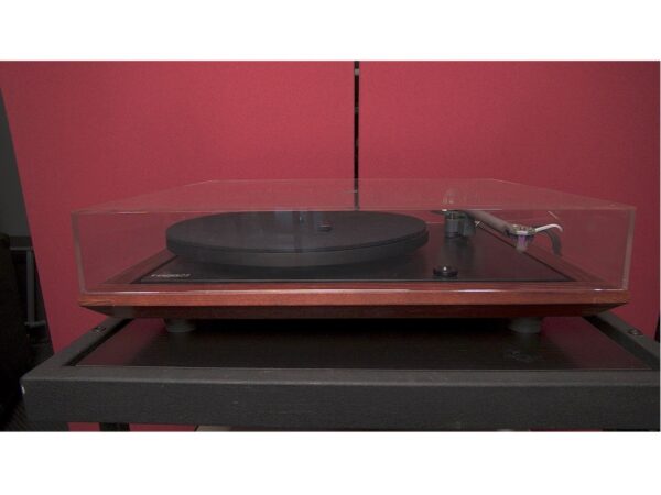 REGA P25 RB600 special edition cherry wood con testina Exact