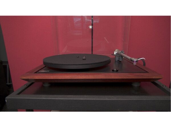 REGA P25 RB600 special edition cherry wood con testina Exact - immagine 2