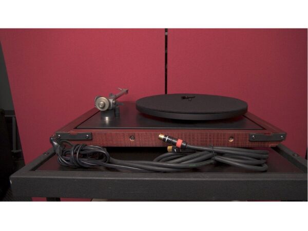 REGA P25 RB600 special edition cherry wood con testina Exact - immagine 3